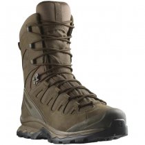 Salomon Quest 4D Forces 2 HIGH GTX EN - Earth Brown - UK 6